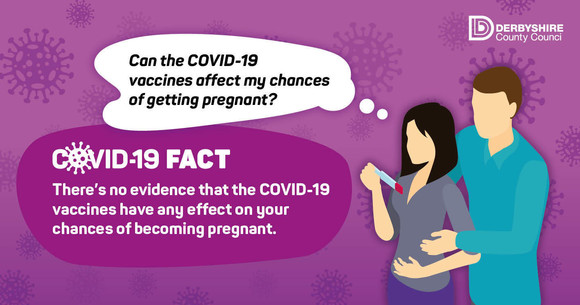 pregnancy covid fact