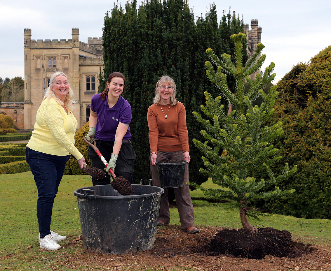 Queen’s Green Canopy tree-planting initiative 