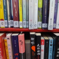 Fiction in other languages