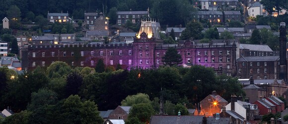 county hall purple crop