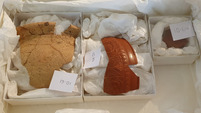 Buxton Museum Roman pottery packed