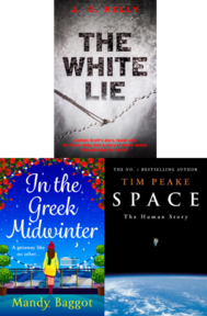 Adult Book Recommendations Nov 23