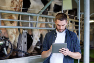 rural broadband farmer cows milking farm tablet