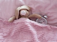 Toy bunny rabbit asleep tucked into a pink bed, laying next to a clock
