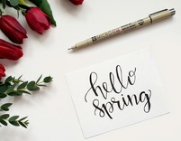 Hello Spring Message With Flowers