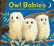 Book Owl Babies