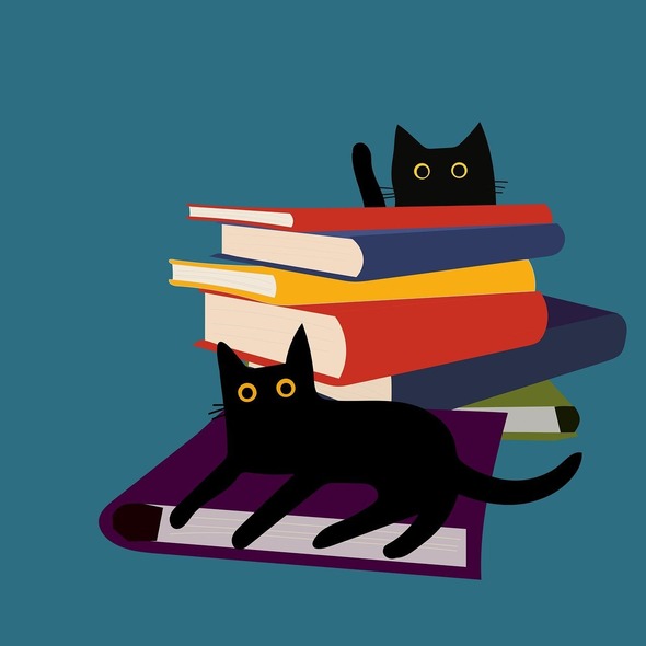 Cat Books Banner