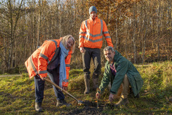 glapwell tree planting