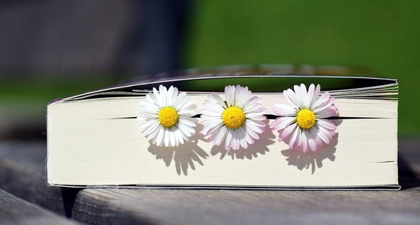 Photo book with daisies
