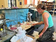 Buxton Museum Exhibition