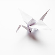 origami crane