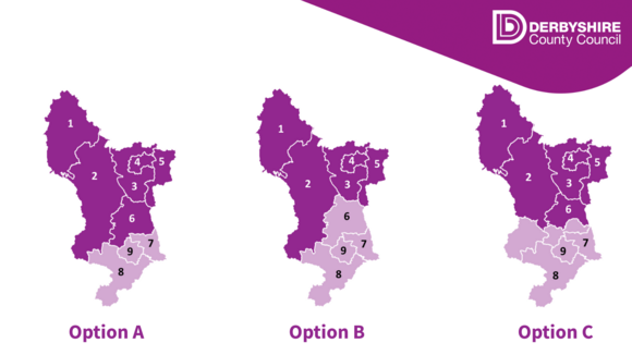 LGR local government reorganisation