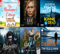 Libby No Wait eaudiobooks, November 25