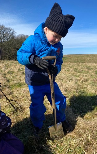 tree planting white hall