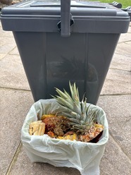 food waste caddy recycling