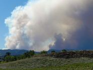 wildfire