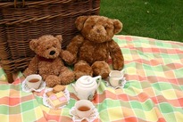 Shirebrook Library Picnic