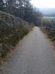Bamford Clough