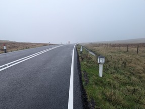 Cat and Fiddle