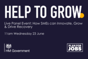 Help to Grow: How SMEs can Innovate, Grow and Drive Recovery