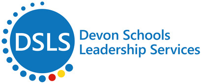 DSLS logo