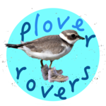 Join the Plover rovers