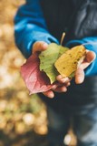 child holding leaves