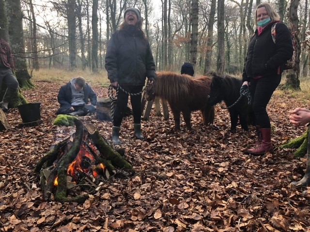 A group of people with ponies in the woods around a campfire.