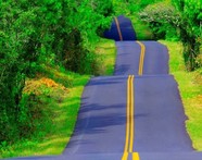 Road stretching into the distance