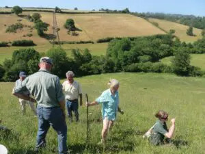 People on a hillside looking for plants and wildlife
