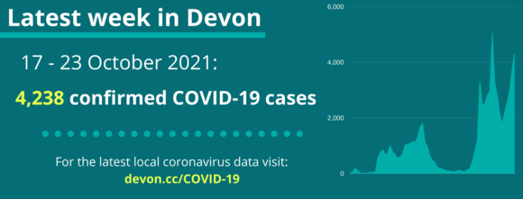 Coronavirus cases in graph - 4238 this week
