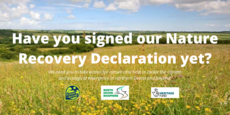 nature recovery declaration
