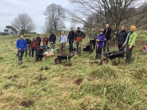 Group of people planting trees