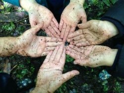 Muddy hands