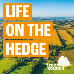 Life on the Hedge podcast logo