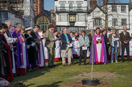 tree planting by exeter cathedral