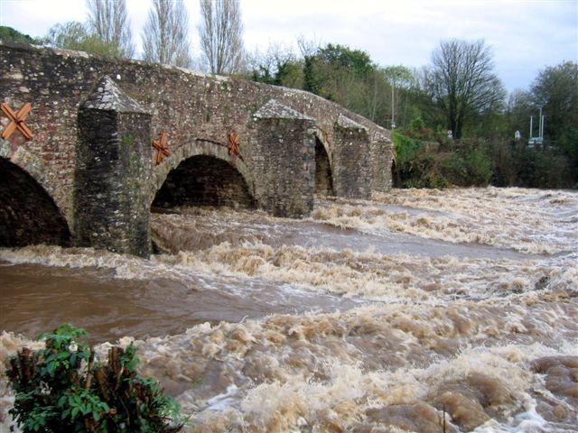 A fast flowing and swollen river passing below the arches of an old bridge in Devon. The water level is high up the arches of the bridge.
