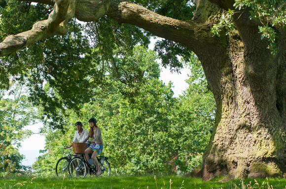 A person cycling along a path with trees and grass either side of the path