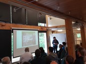 giant hogweed presentation