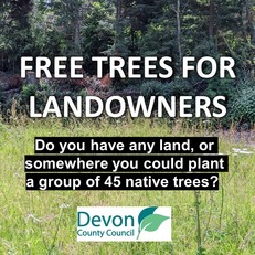 Free Trees Scheme