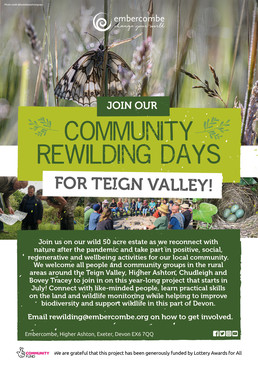 Rewilding in Teign Valley