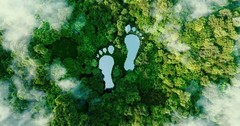 A forest surrounds lakes shaped like feet