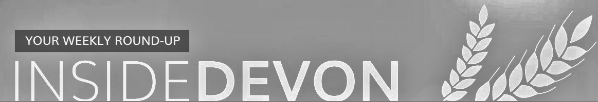 Inside Devon banner in Greyscale