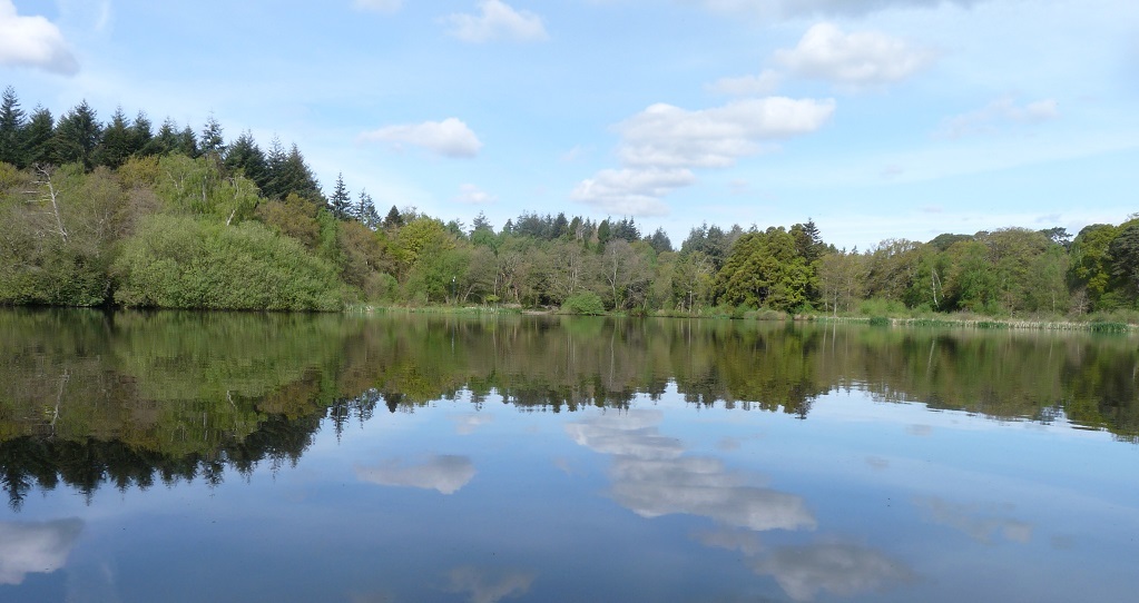 The lake at Stover Country Park