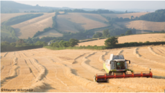 A combine harvester on a field
