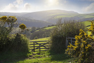Devon landscape