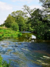 Connecting the culm- river