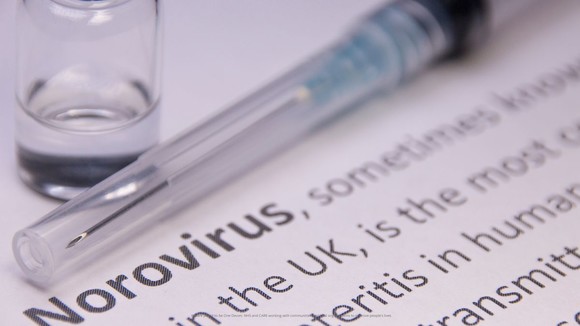 An image showing the word, 'norovirus', on a page with a definition of what it is