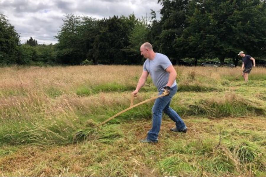 A man mowing a meadow with a scythe