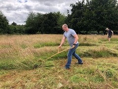 Taking action for nature